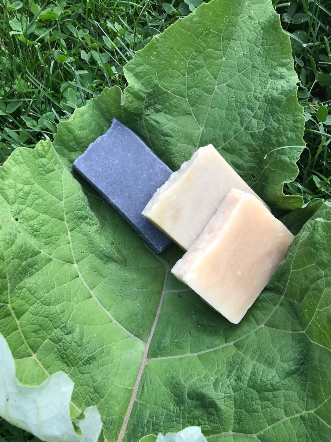 codriidesapun_ce_este_sapunul_blog