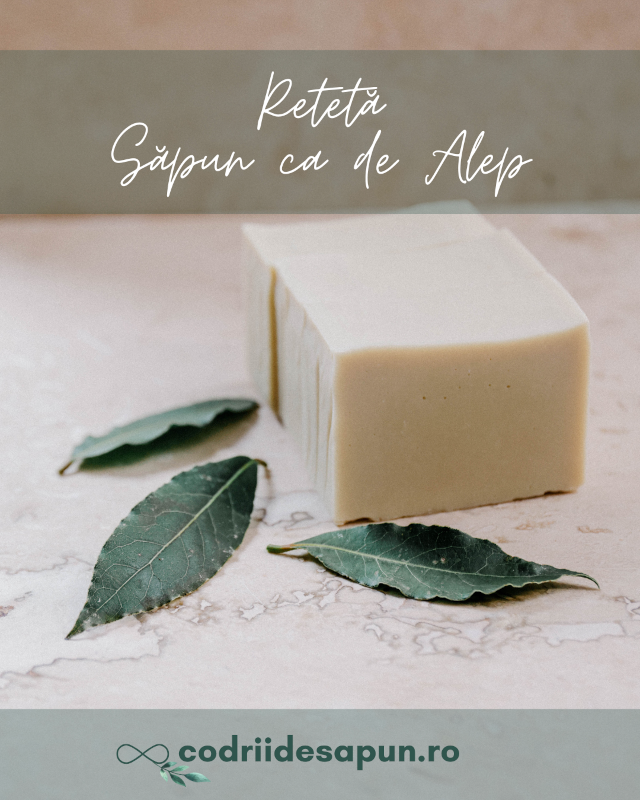 codriidesapun_sapun_alep_dafin_blog_1080x1350_tiny codriidesapun_sapun_alep_dafin