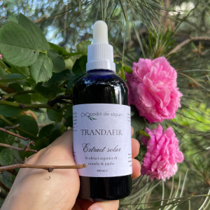 codriidesapun_extract_solar_trandafiri