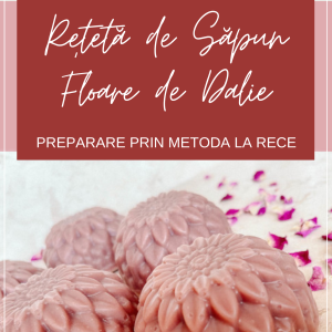 codriidesapun_reteta_sapun_floare_dalie_coperta_new