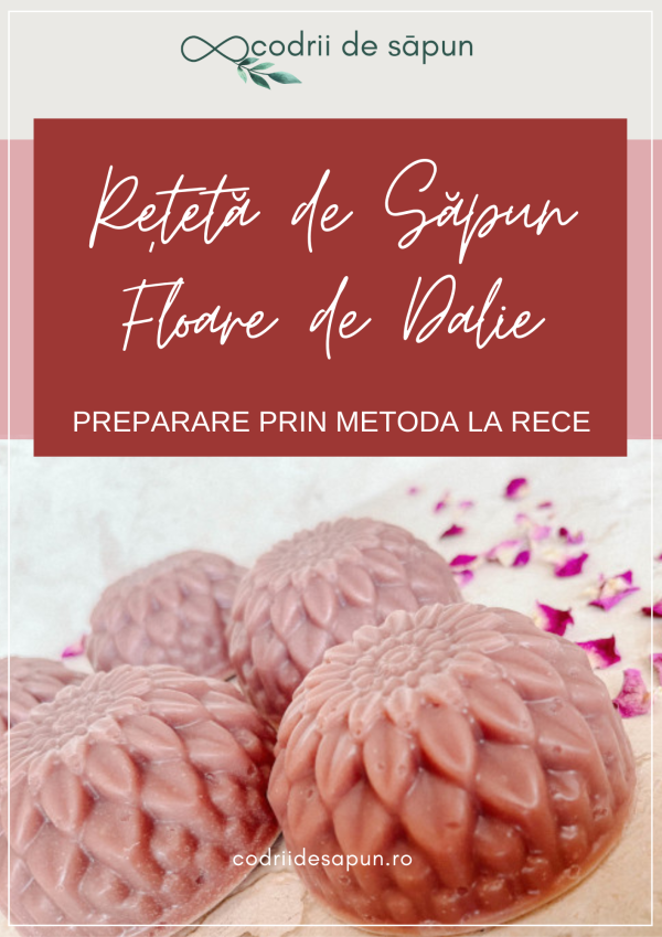 codriidesapun_reteta_sapun_floare_dalie_coperta_new